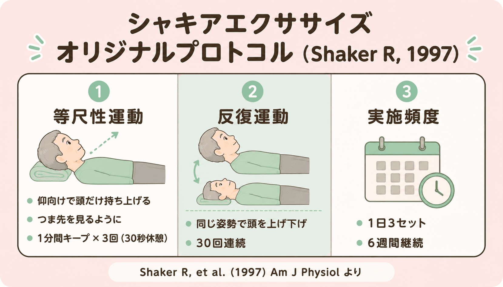 シャキアエクササイズのオリジナルプロトコル図解:等尺性運動1分×3回+反復運動30回×1日3セット×6週間(Shaker R, 1997より)